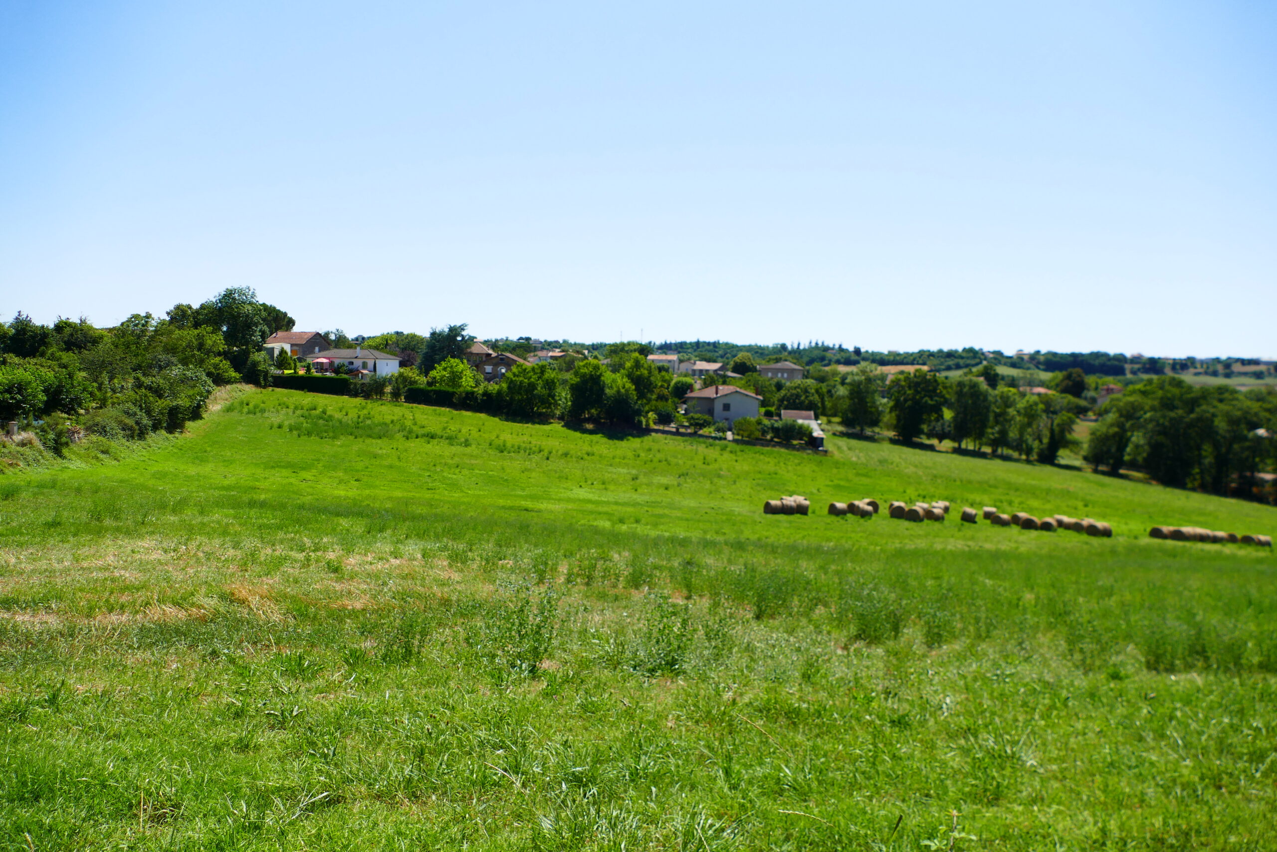 Paysage rural de la commune Vue sur le paysage rural de la commune de Saint-Benoit de carmaux avec des champs, des bottes de foin et au loin quelques maisons d'habitation