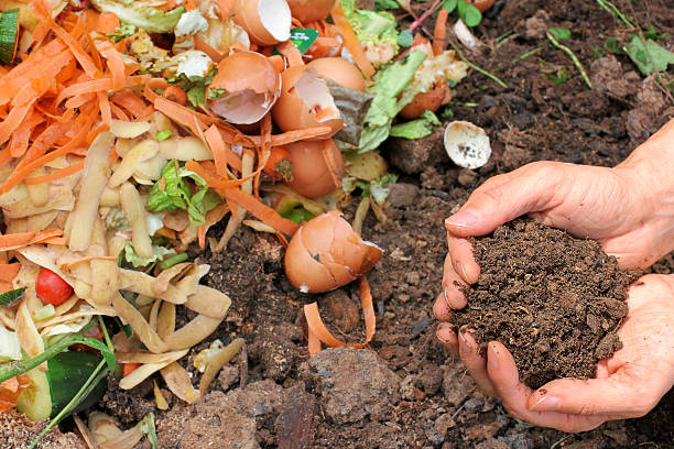 Photo compostage Epluchures de légumes, coquilles d'oeufs déposés en tas sur le sol pour devenir du compost et deux mains jointes dans lesquelles se trouve du compost